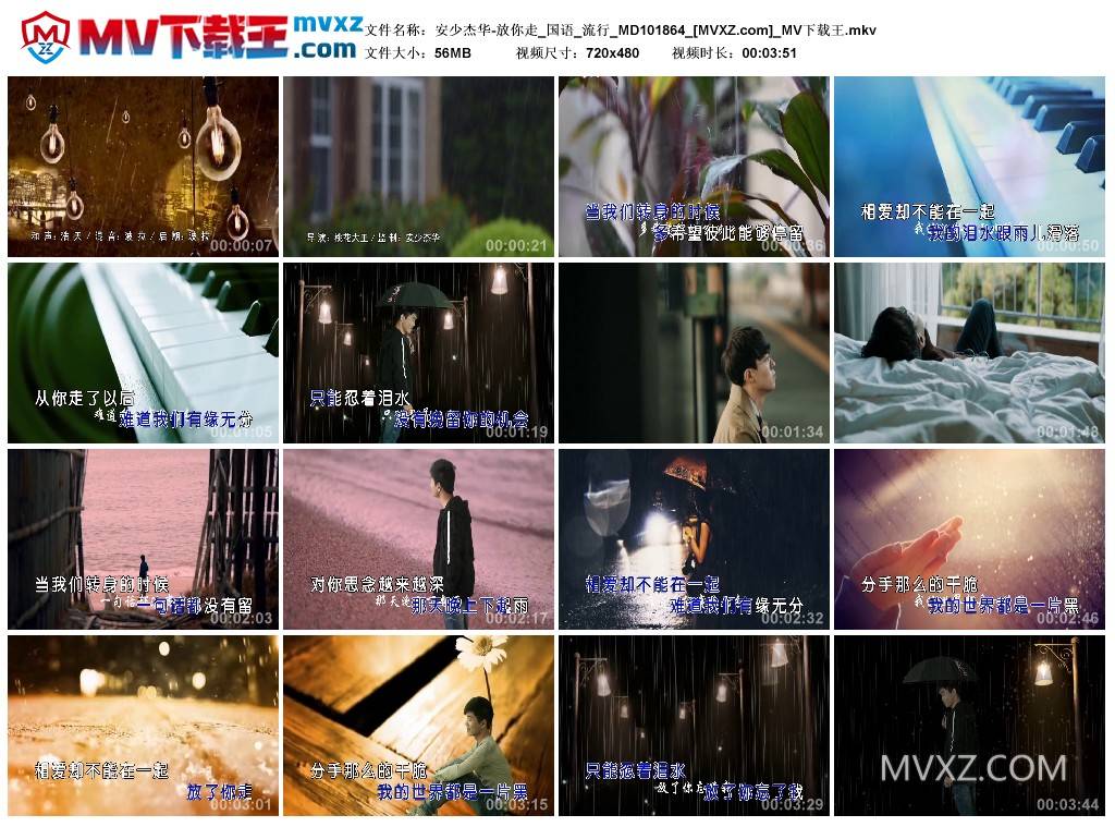 安少杰华-放你走_国语_流行_MD101864